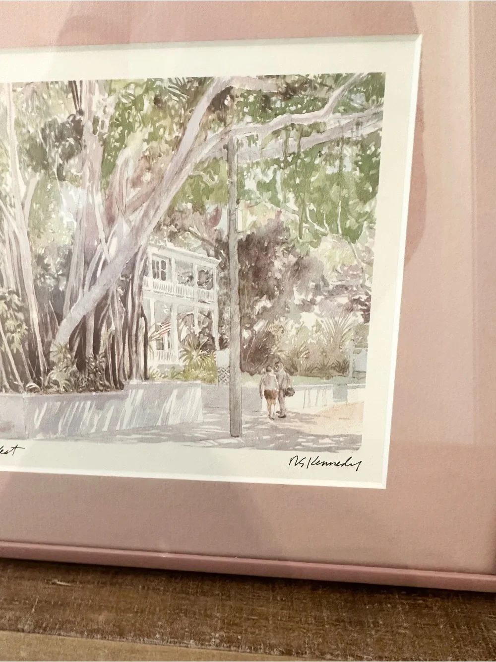 Pink Framed Mat Botanical Wall Art Robert E. Kennedy Iconic Banyan Tree Key West